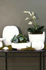 Rene 2 Handle Planter | White