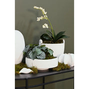 Bella Bowl | White