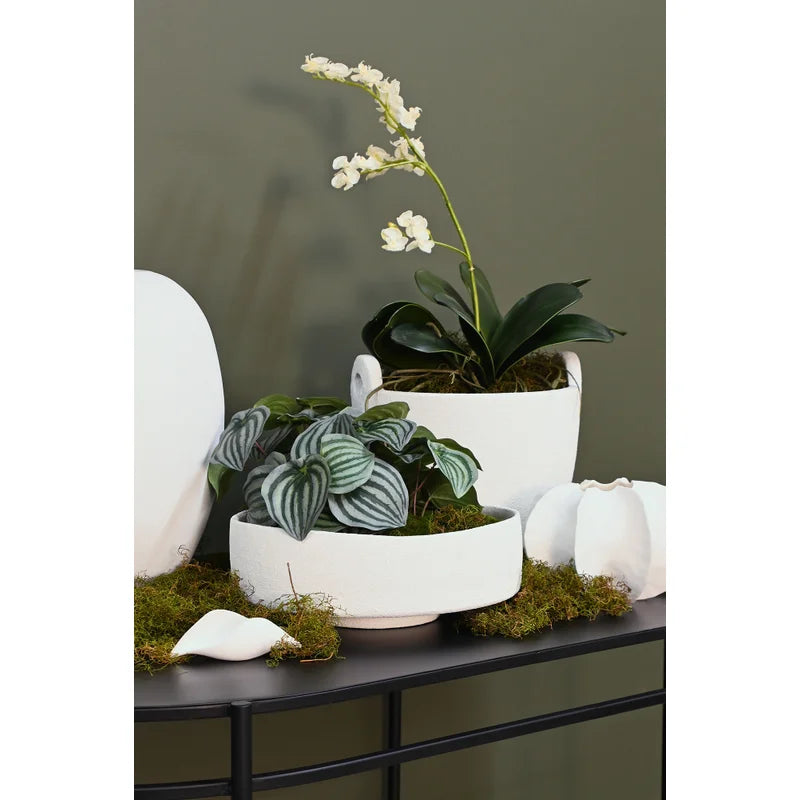 Bella Bowl | White