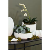 Bella Bowl | White