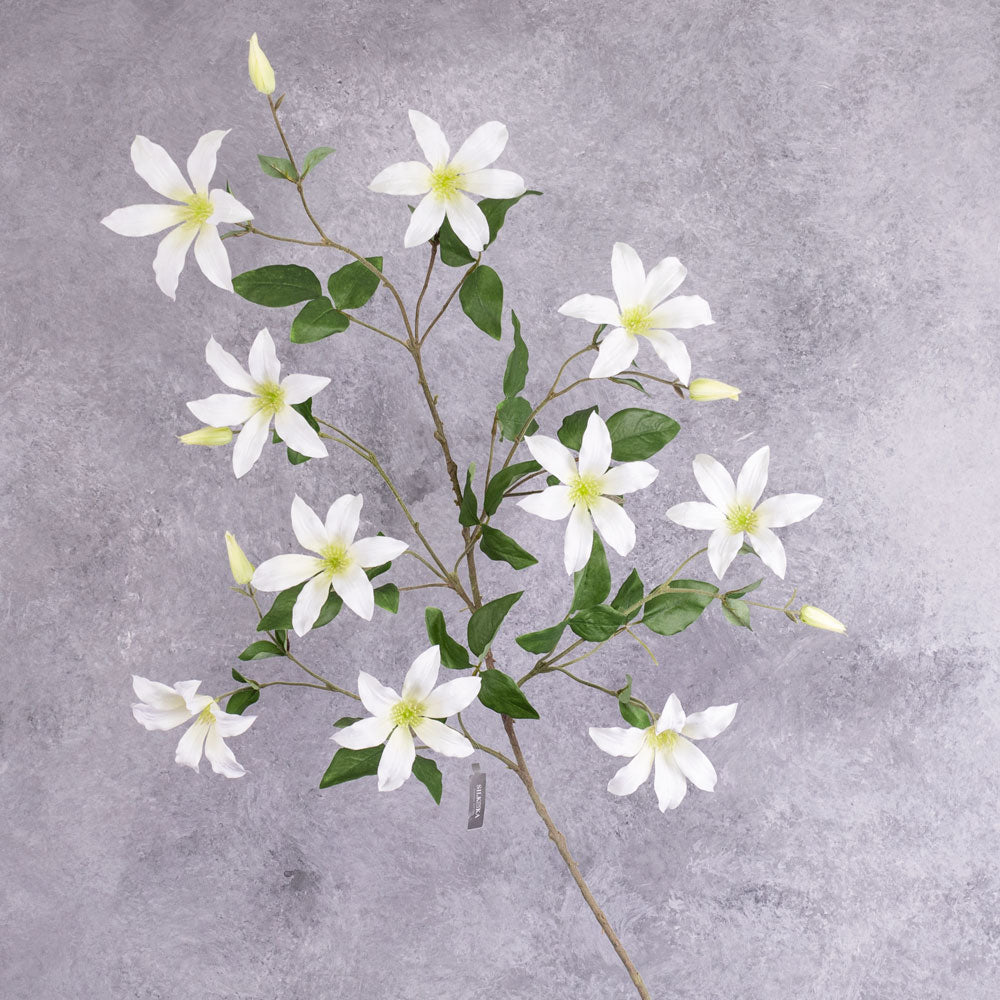 Alisons Acquisitions Clematis Spray | White