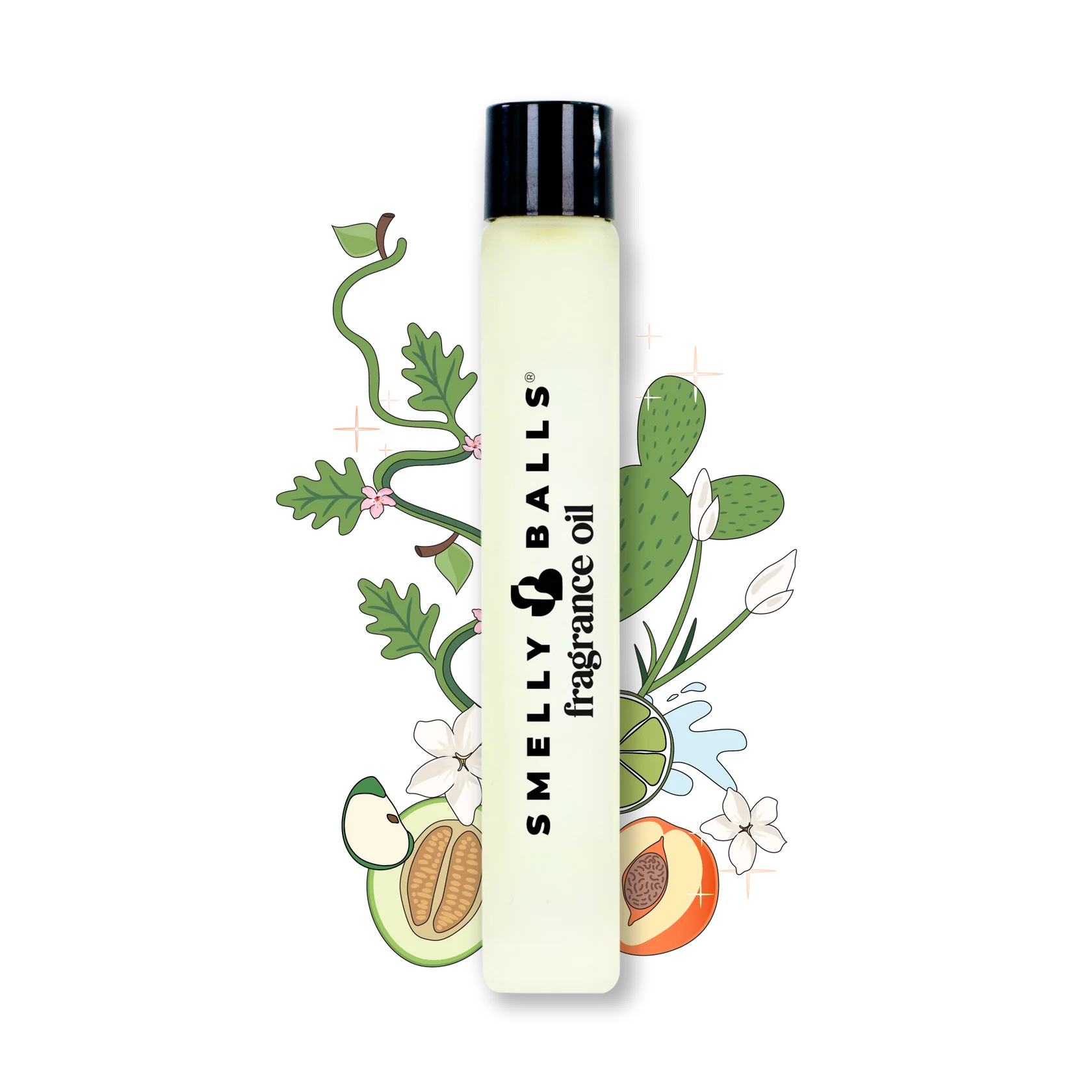 SBA092515mlFragranceIllustration_CactusFace3.webp
