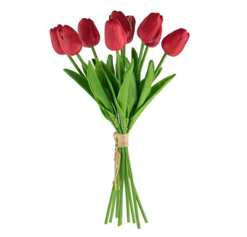 SE2296-redtulipbunchA.webp