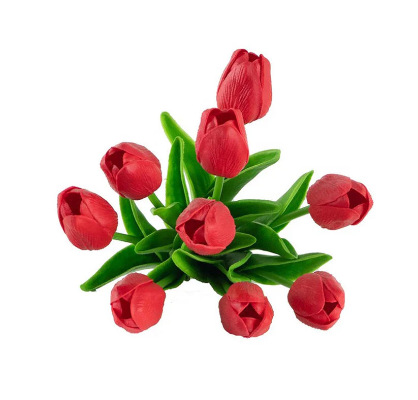 SE2296_ASSORTED_02A.webp