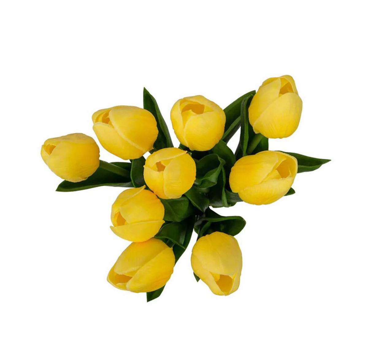 Tulips | Yellow