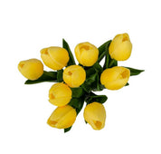 Tulips | Yellow