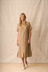 Neris Shiloh Dress | Biscotti