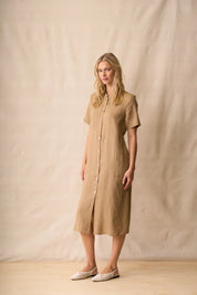 Neris Shiloh Dress | Biscotti