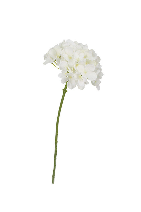 Winter Hydrangea | White