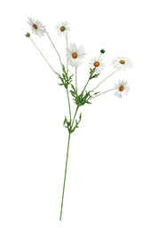 Daisy Spray White