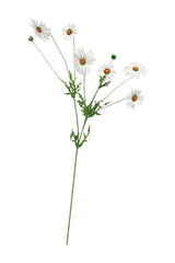 Daisy Spray White
