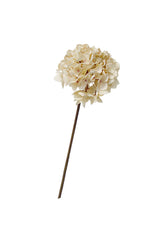 Dried Look Hydrangea Cream
