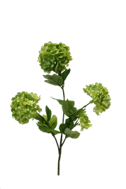 Snowball Spray Green