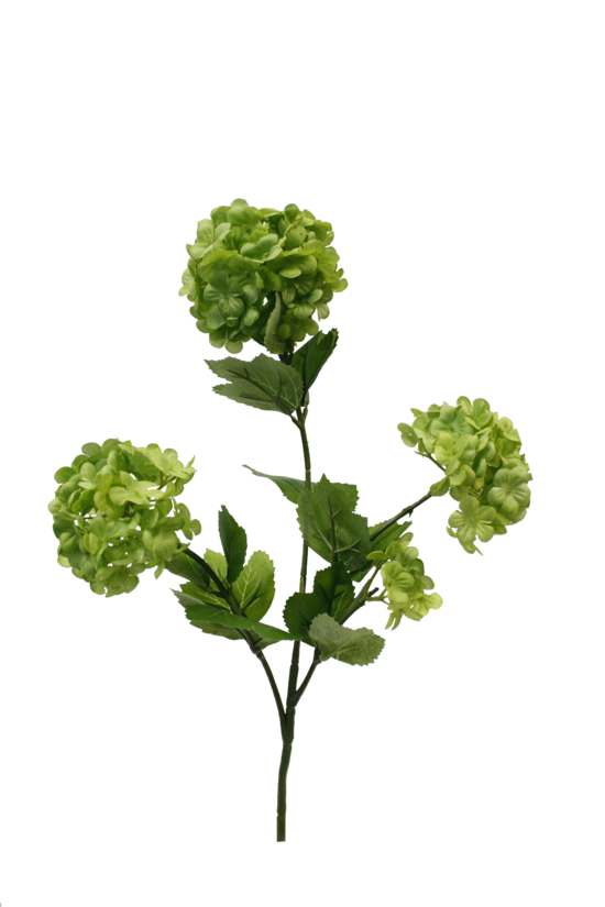 Snowball Spray Green