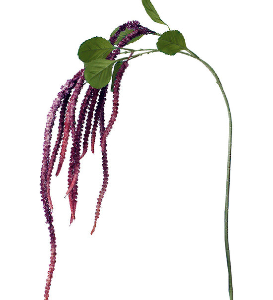 SP841.jpg