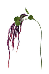 Flower System Amaranthus Spray Burgundy | 134cm