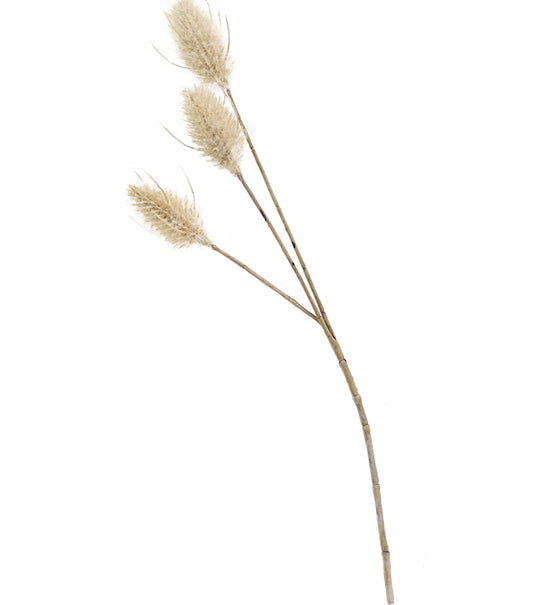 SP854.2.jpg