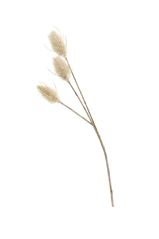 Bunny Tails