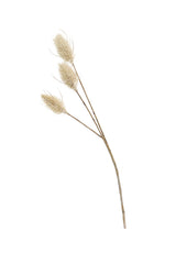 Bunny Tails