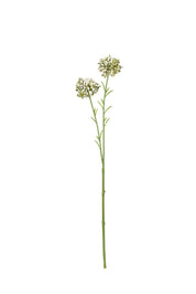 Flower Systems Mini Allium Cream | 46cm