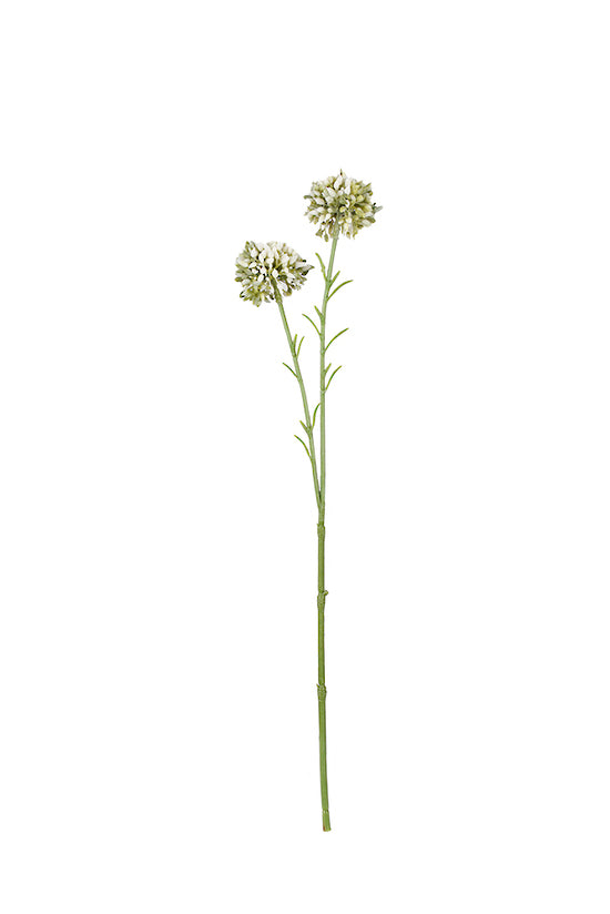 Flower Systems Mini Allium Cream | 46cm