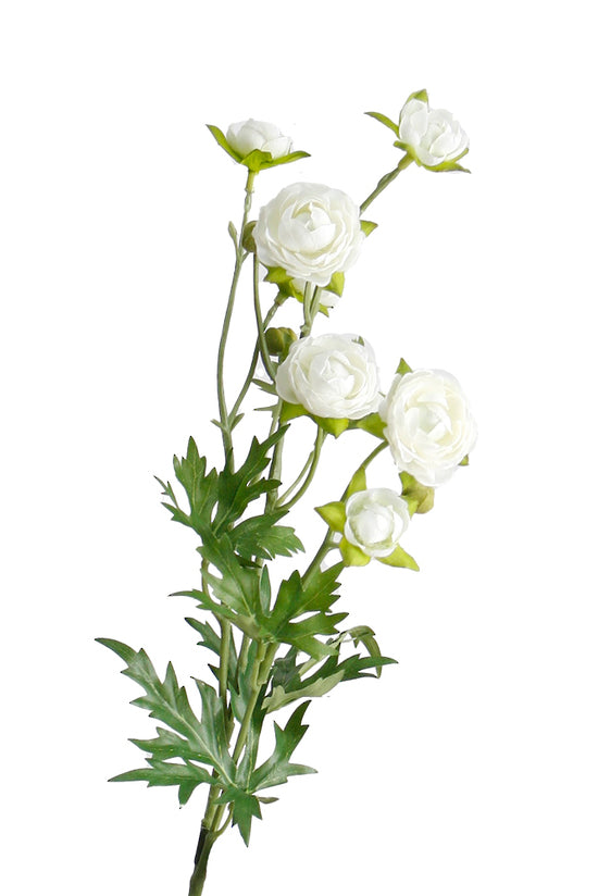 Flower System Petit Ranunculous Spray White | 56cm