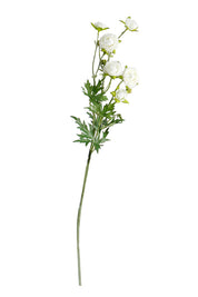 Flower System Petit Ranunculous Spray White | 56cm