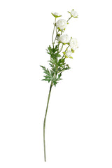 Flower System Petit Ranunculous Spray White | 56cm