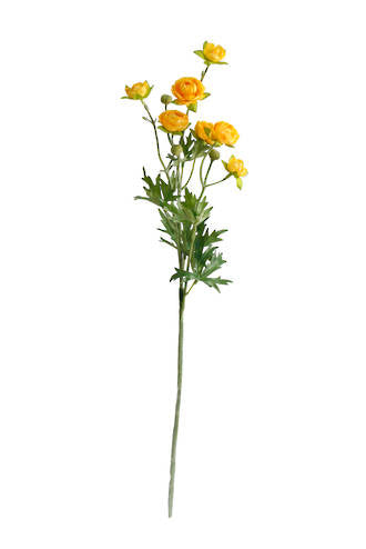 Flower System Petit Ranunculous Spray Yellow | 56cm