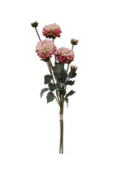 Flower Systems Pom Pom Dahlia |  Pink