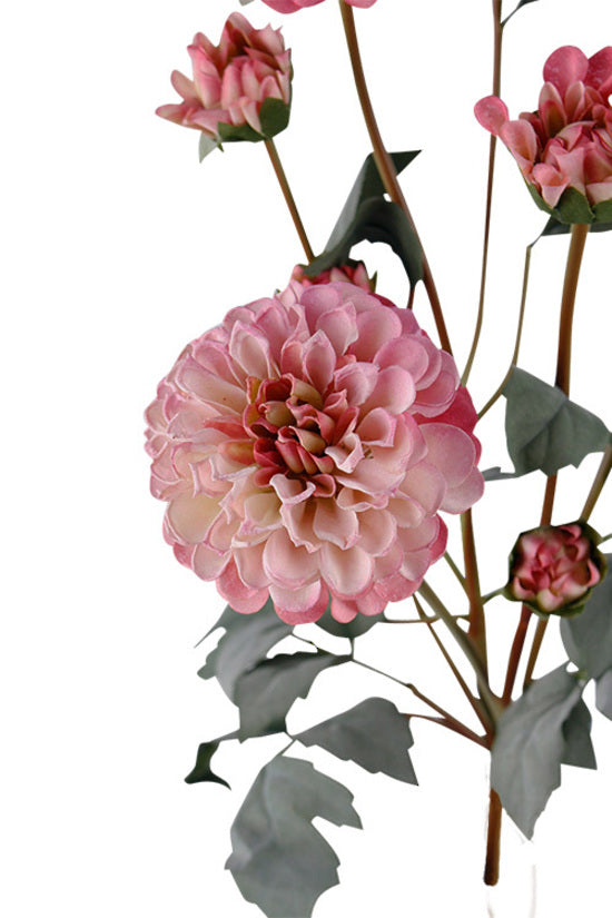 Flower Systems Pom Pom Dahlia |  Pink