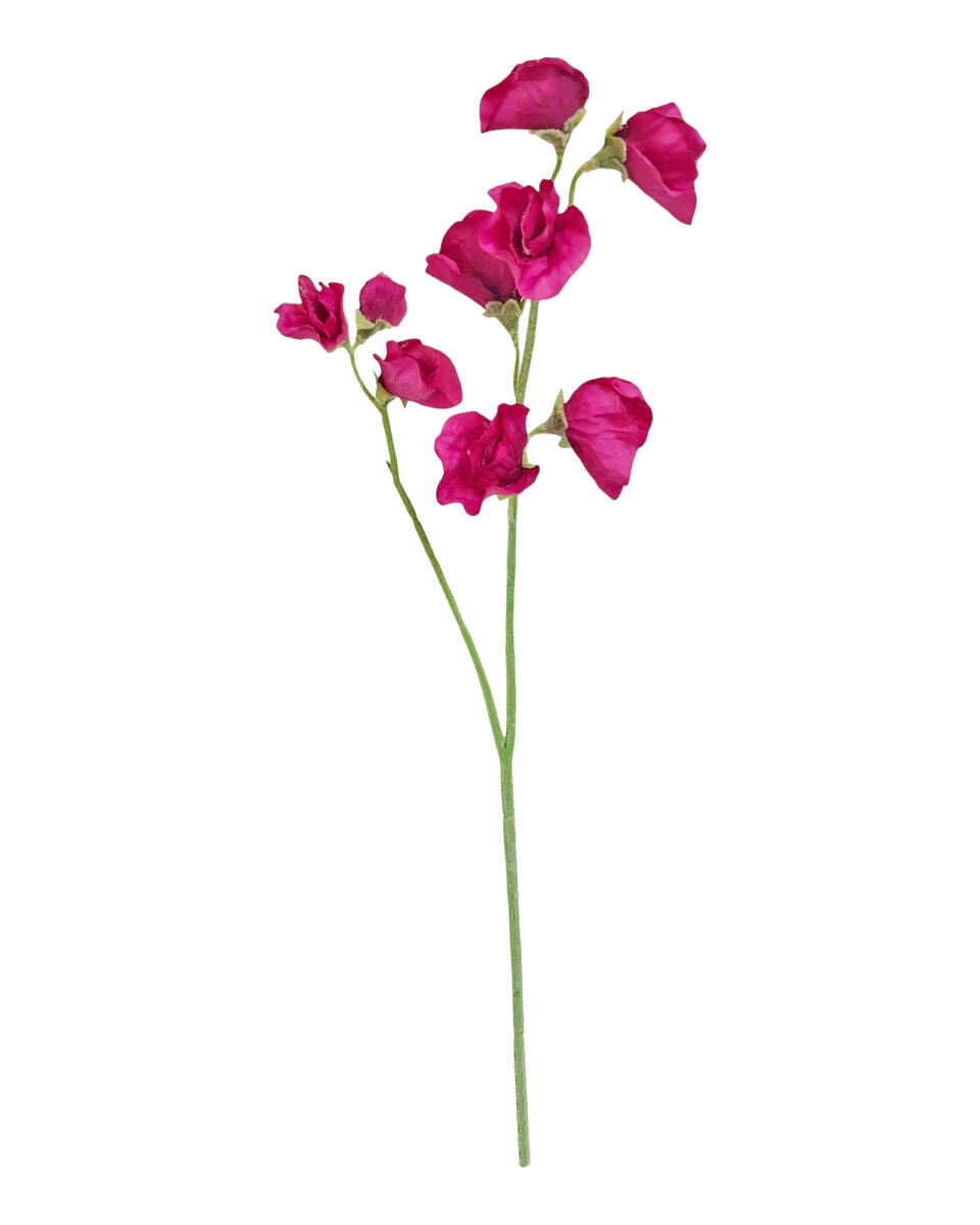 Alisons Acquisitions Sweet Pea | Fushia