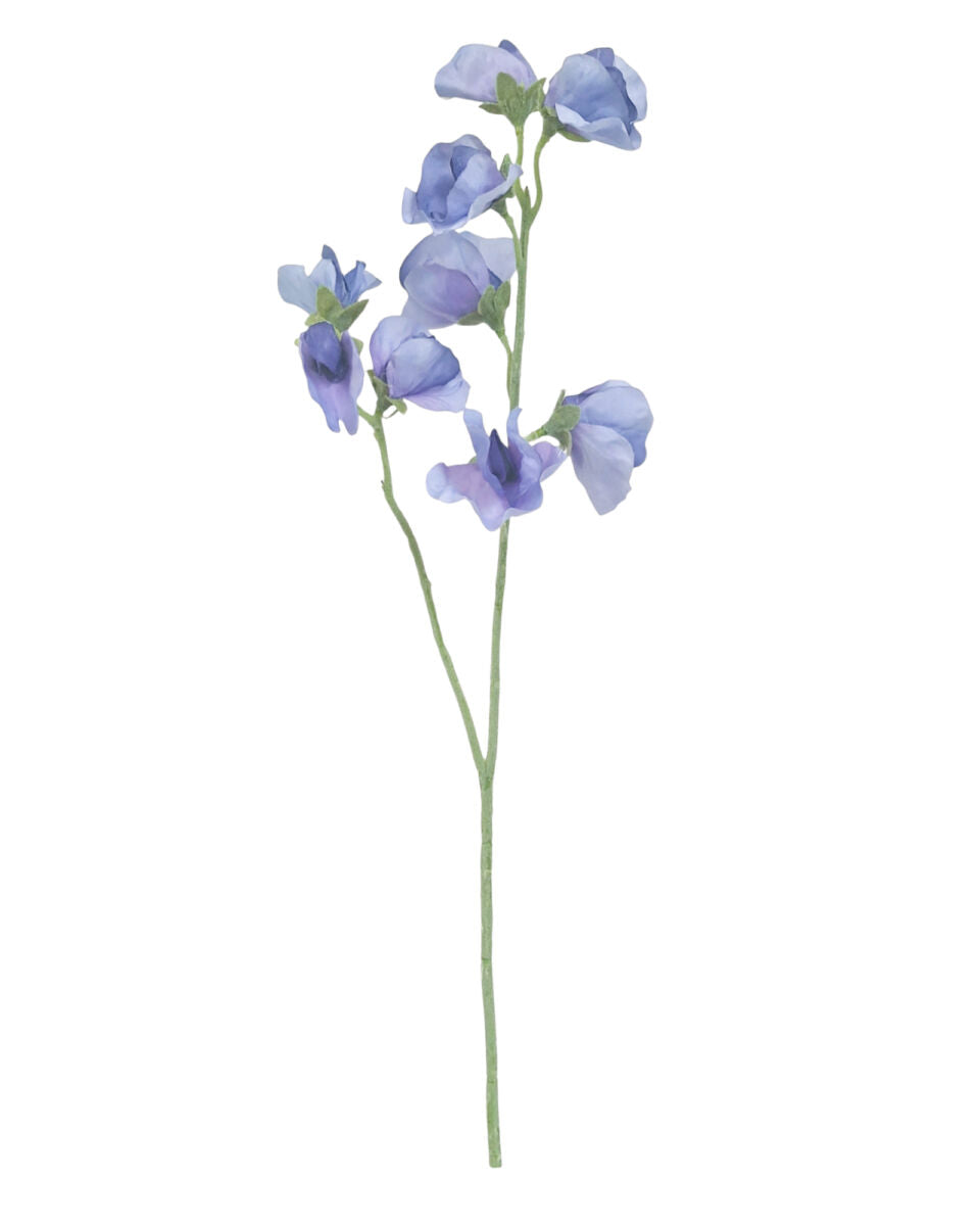 Alisons Acquisitions Sweet Pea | Light Blue
