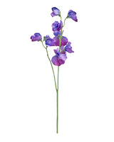 Alisons Acquisitions Sweet Pea | Purple
