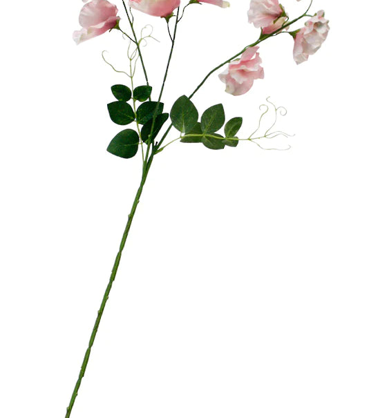 SP_20296PK_550x824_e6bf1966-cbc0-4d98-a09d-d618747a887d.webp
