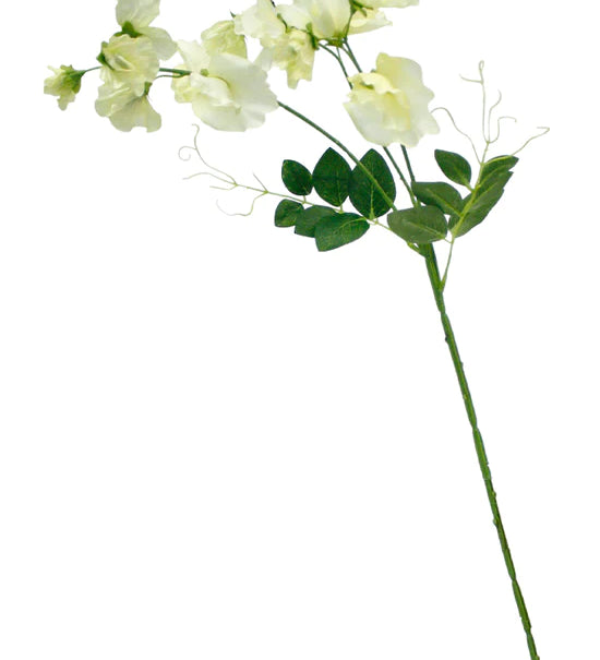 SP_20296WH_550x824_c7e2435d-ef50-4d7f-ac26-00aac8794de3.webp