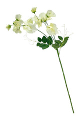 Flower Systems Sweetpea Spray Cream 68cm