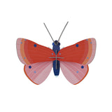 Studio Roof  Wall Art Butterflies (B7) | Speckled Copper Butterfly
