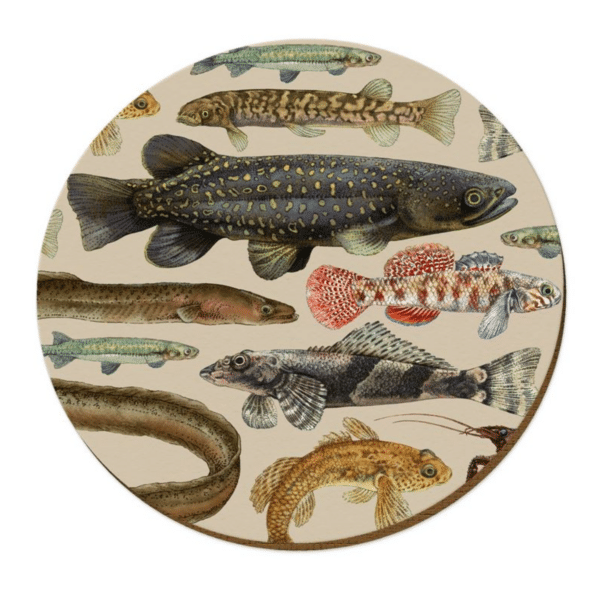 Tanya Wolfkamp Freshwater Fish Placemat | 29cm