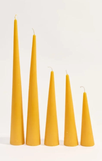 Poppy & Sage Woodland Beeswax Candle Set | 5 Sizes Pumpkin Orange