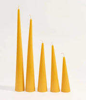 Poppy & Sage Woodland Beeswax Candle Set | 5 Sizes Inky Blue