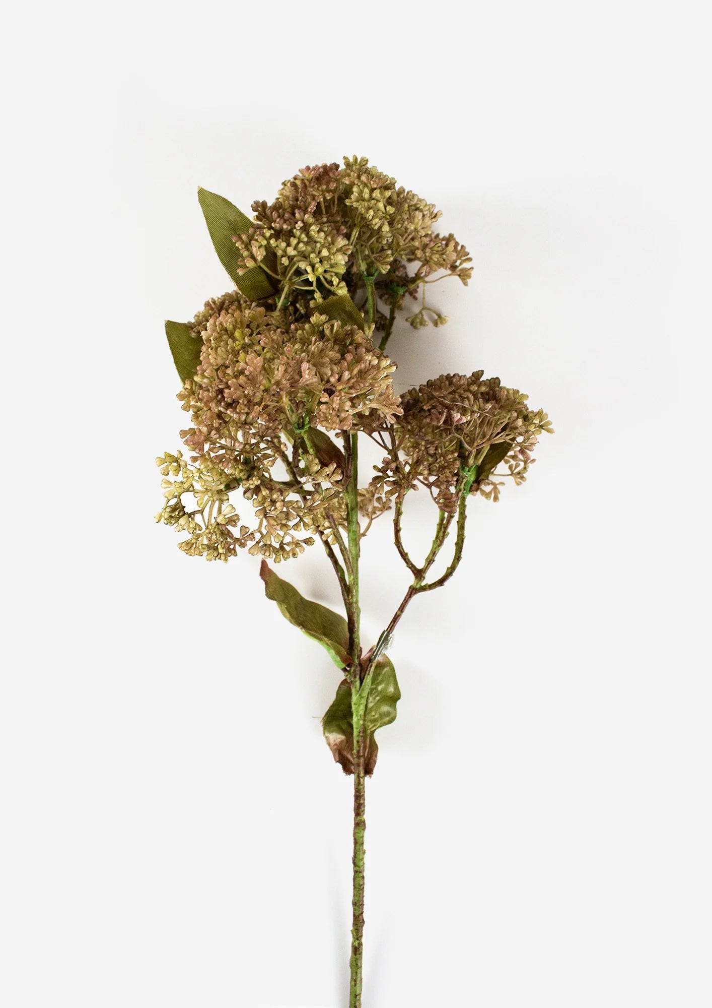 Flower System Sedum Spray Green| 58cm