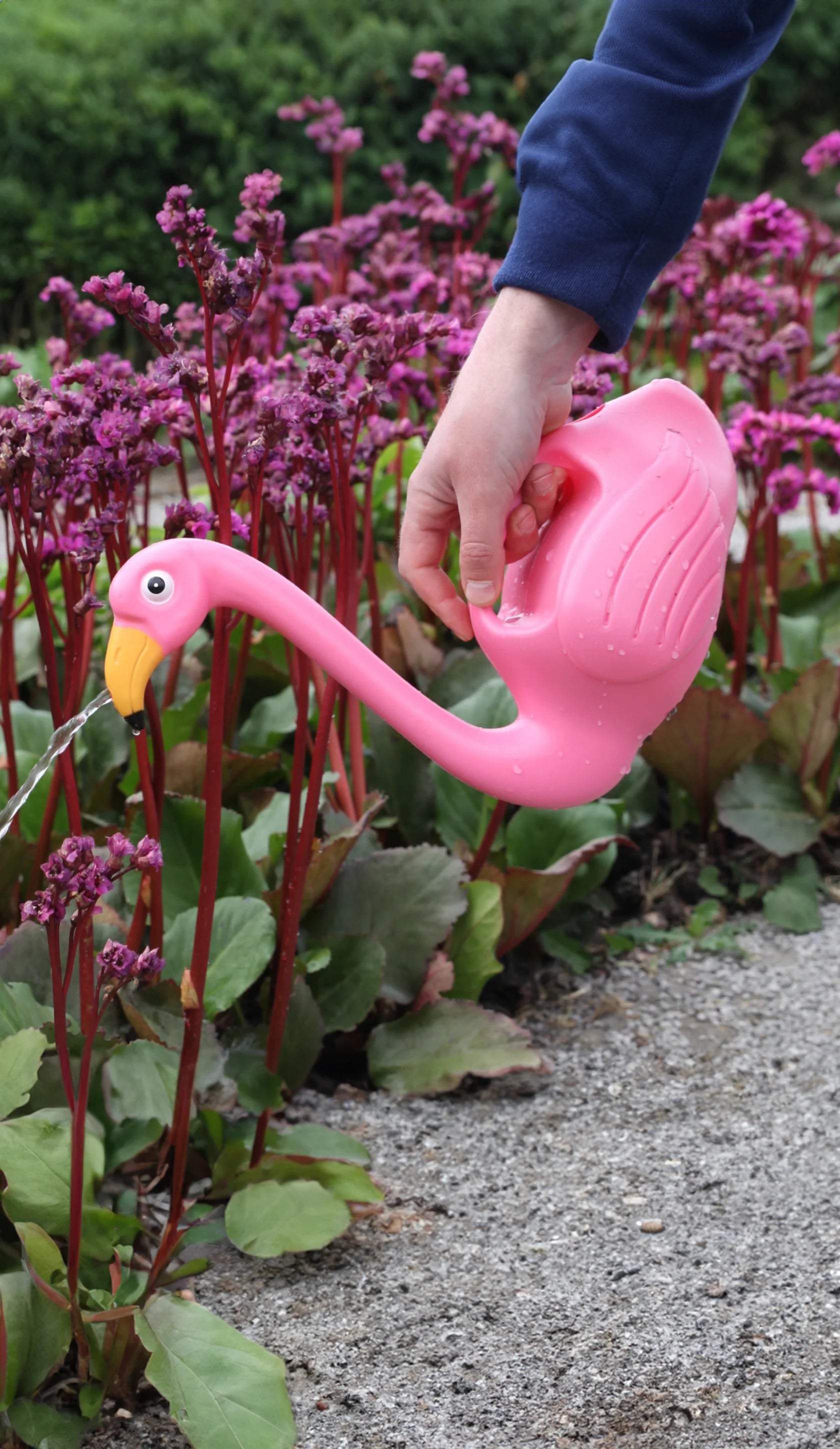 Parnell Watering Can | Flamingo