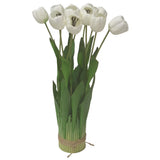 Tulips | White 12 Head
