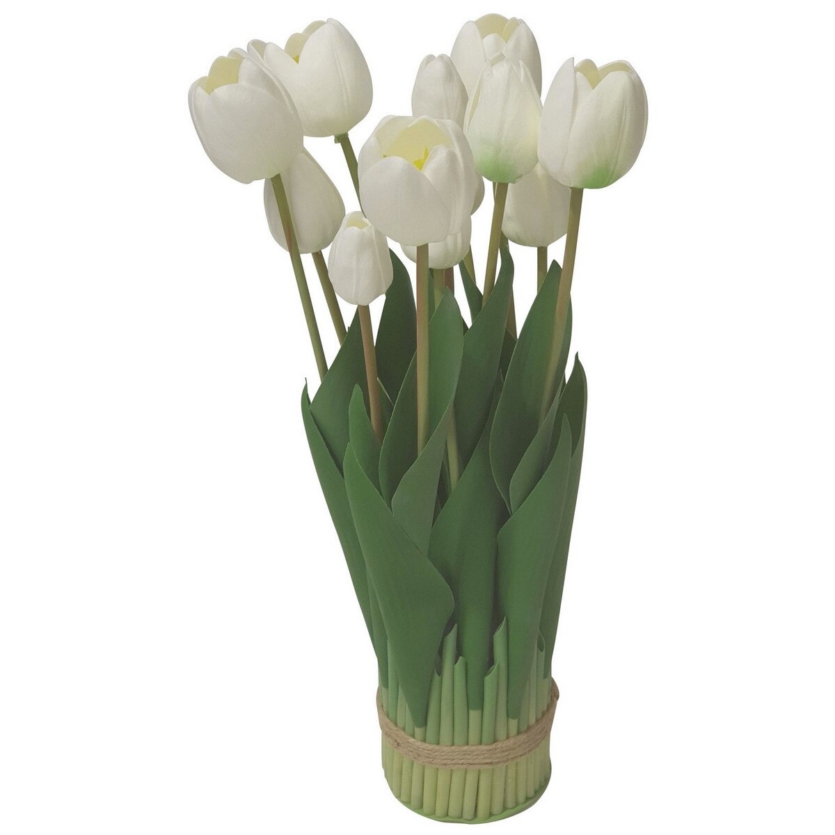 Tulips | White 9 Head