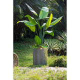 Rembrandt Small Outdoor Planter Rustic | Olive