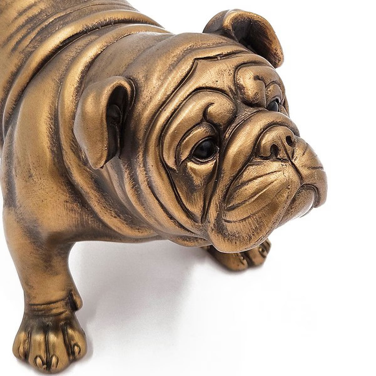 Rembrandt Bulldog | Gold