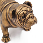 Rembrandt Bulldog | Gold