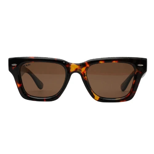 TheTourist-TurtleCinnamon_1.webp