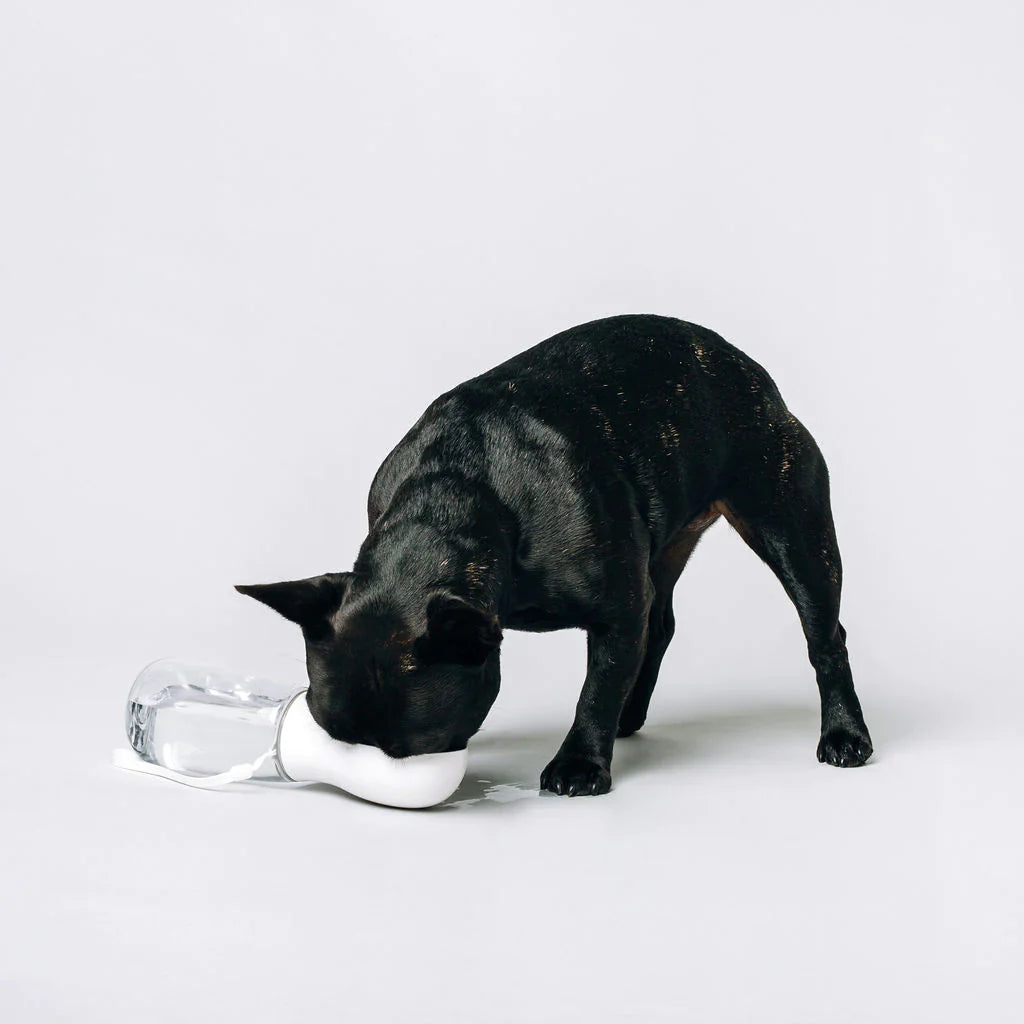 Thirsty Dog Original Thirsty Dog Bottle
